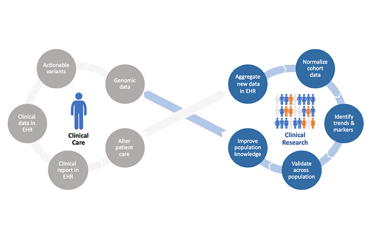 learn about foundational population genomics