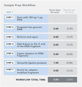Sample Prep Workflow