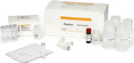 Small RNA Cluster Generation Kits
