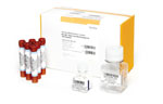 GoldenGate Methylation DNA Activation Kit