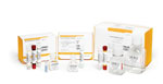 GoldenGate Methylation Assay Kits