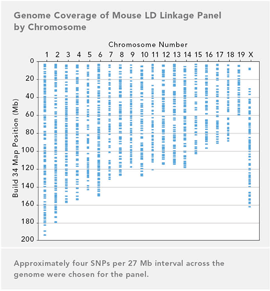 Illumina Mouse LD Linkage
