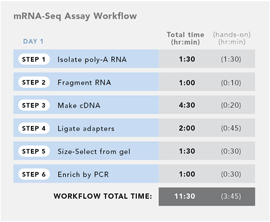 Illumina mRNA-Seq 8-Sample Prep Kit