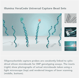 Illumina VeraCode Universal Capture Bead Sets