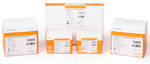 TruSeq Custom Amplicon