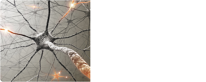 Featured Publication: The genetic landscape of high-risk neuroblastoma
