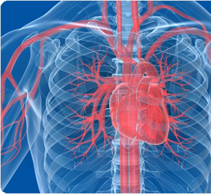 Featured Publication: Deep mRNA sequencing for in vivo functional analysis of cardiac transcriptional regulators: application to Gαq.