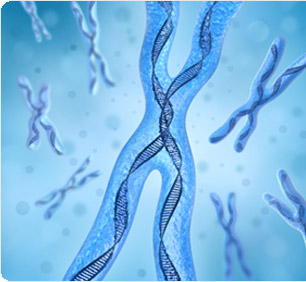 Featured Publication: Characterization of the RNA content of chromatin.