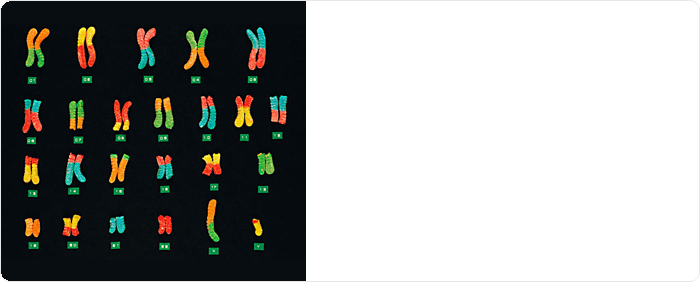 Featured Publication: Extrachromosomal microDNAs and chromosomal microdeletions in normal tissues