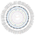 Illumina Genome Network circos plot