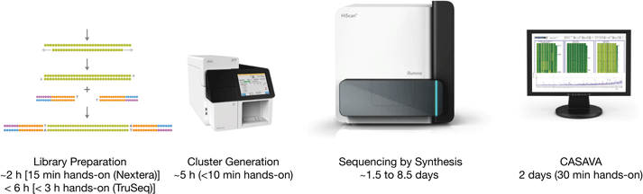 HiScanSQ Workflow