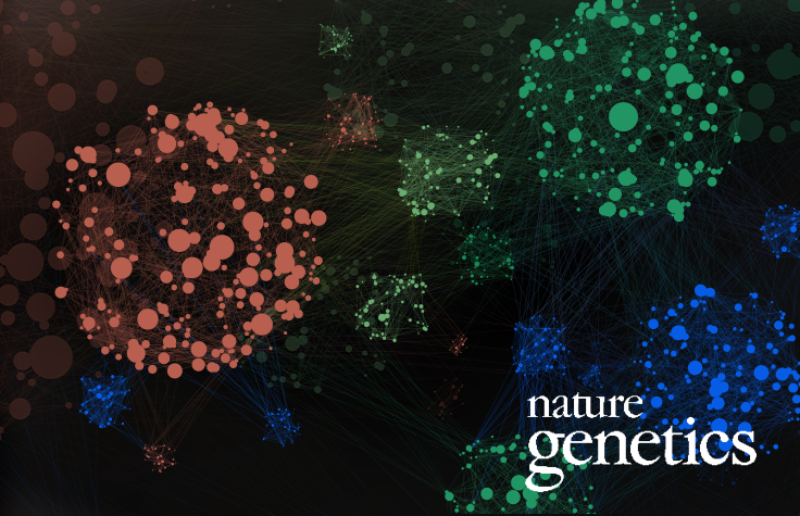 Prioritizing Functional Genetic Variants