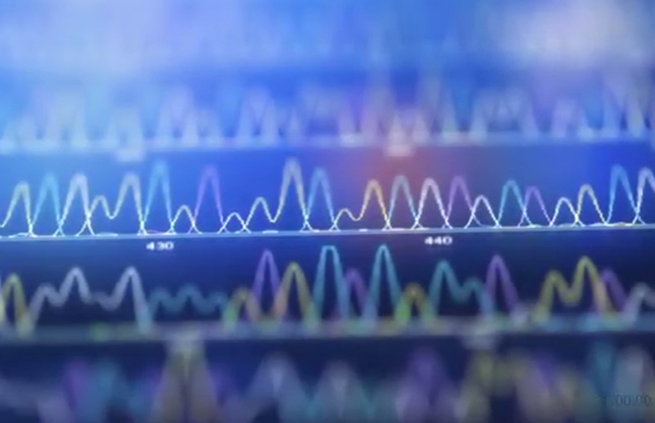 Immuno-Oncology Battle Lines Video