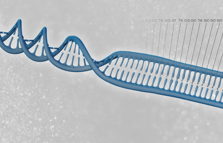 gene dna sequence