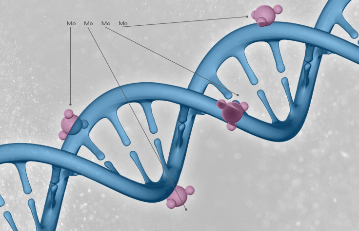 Cancer Epigenetics