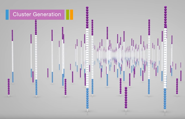 Illumina Sequencing by Synthesis