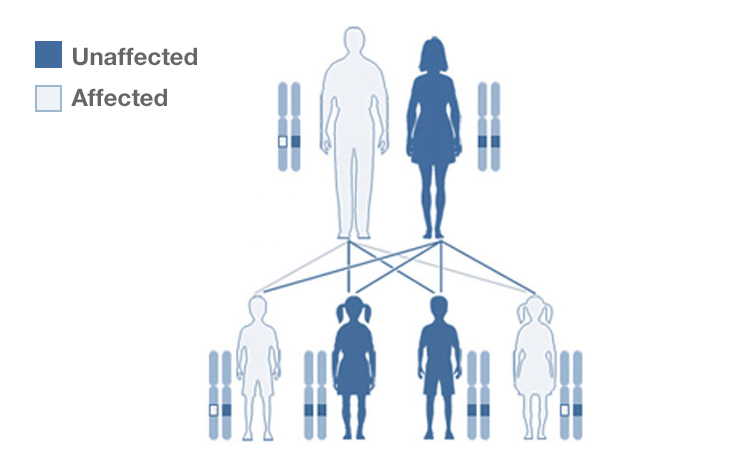 What is a gene?