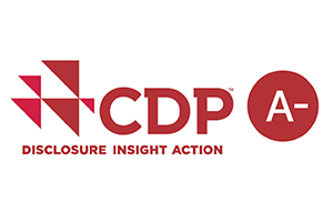 CDP logo