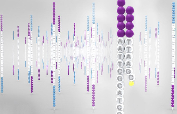 Introduction to Sequencing by Synthesis