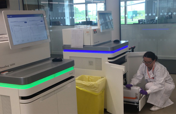 Scientist in a High-Throughput Lab Using Illumina Sequencers