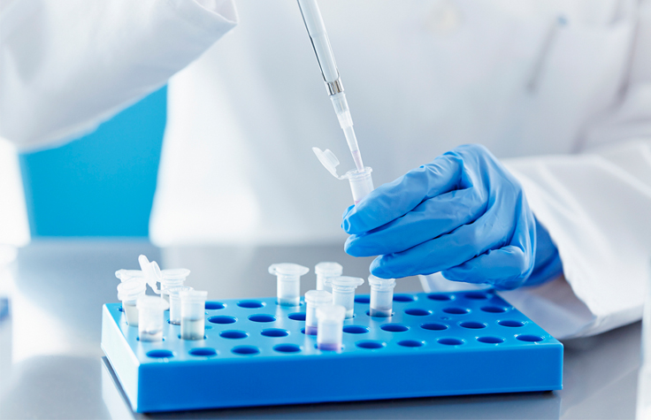 Scientist Performing SNP Genotyping, Pipetting in Lab