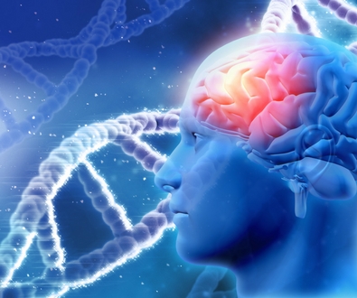 New panel helps researchers study neurodegenerative diseases