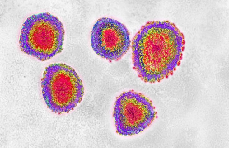 Illumina Sequencers Help Characterize and Control Coronavirus 