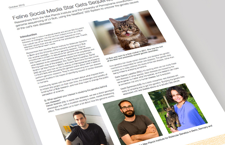 Feline Social Media Star Gets Sequenced