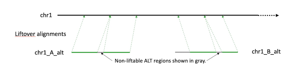 Example of a correct liftover between alt region and main reference.