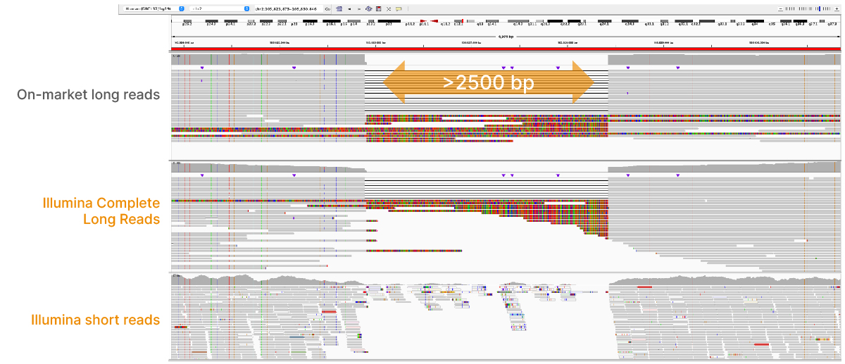 Illumina Complete Long Reads resolve large indels