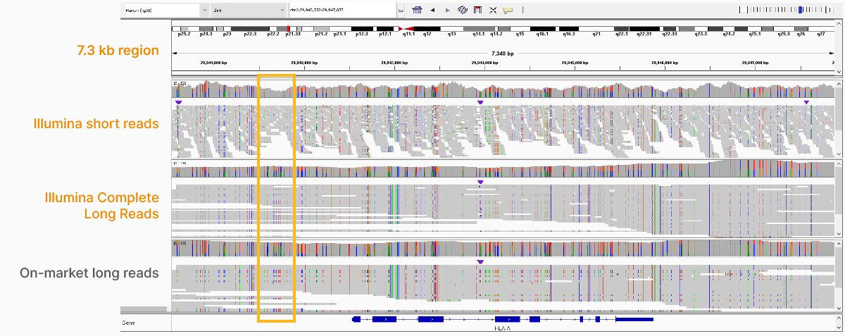 Illumina Complete Long Reads resolve polymorphic regions