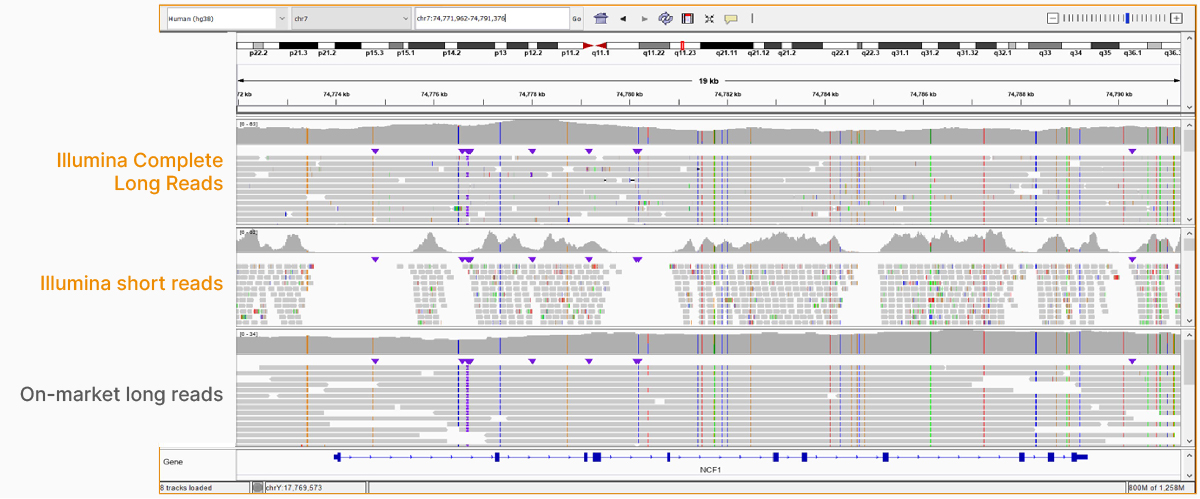 Illumina Complete Long Reads resolve pseudogenes and paralogs