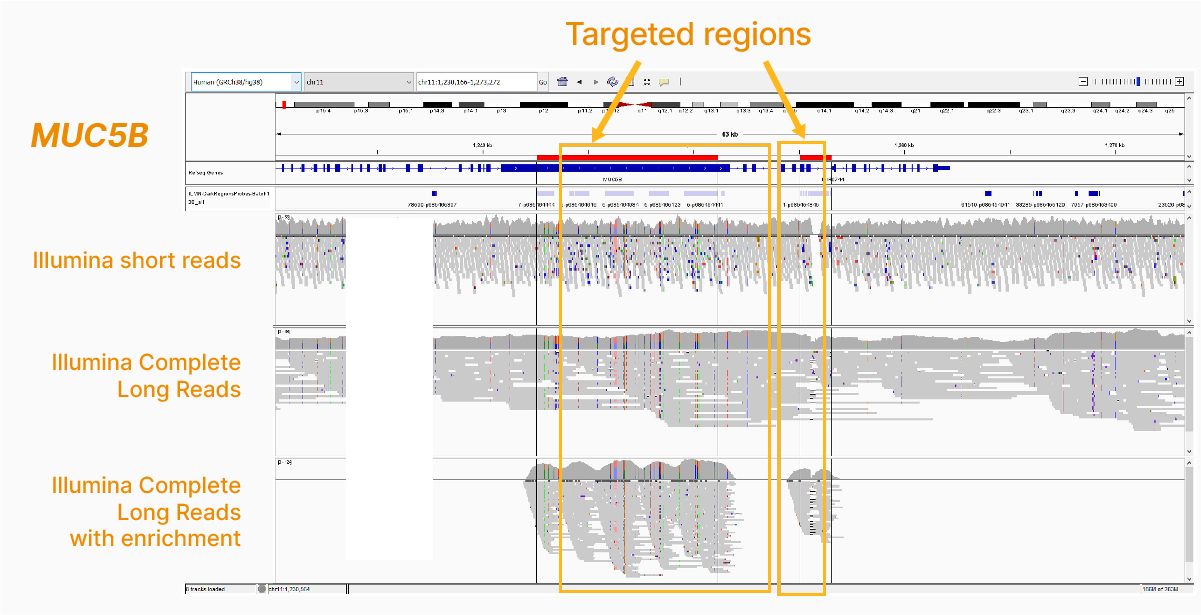 Illumina Complete Long Reads with enrichment