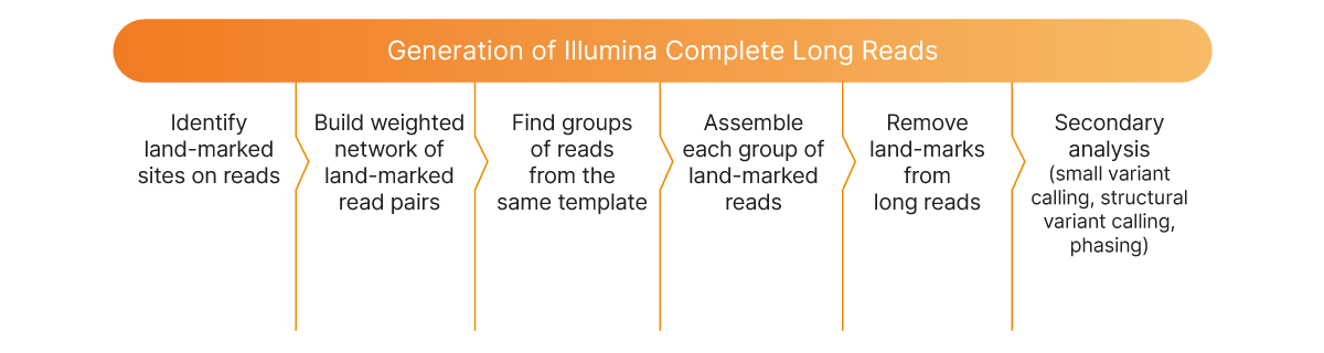 complete long reads bioinformatics workflow