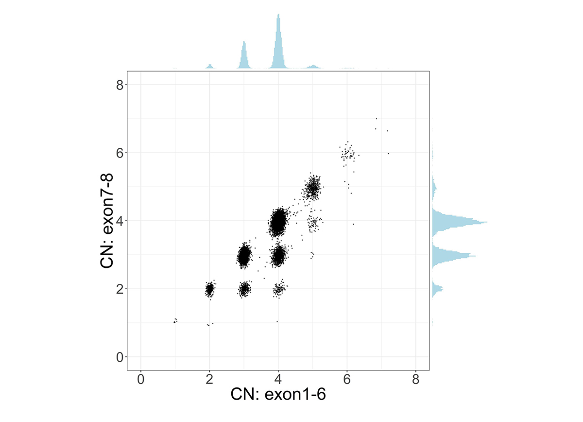 Copy numbers of total and intact SMN (SMN1+SMN2) are calculated from read depth