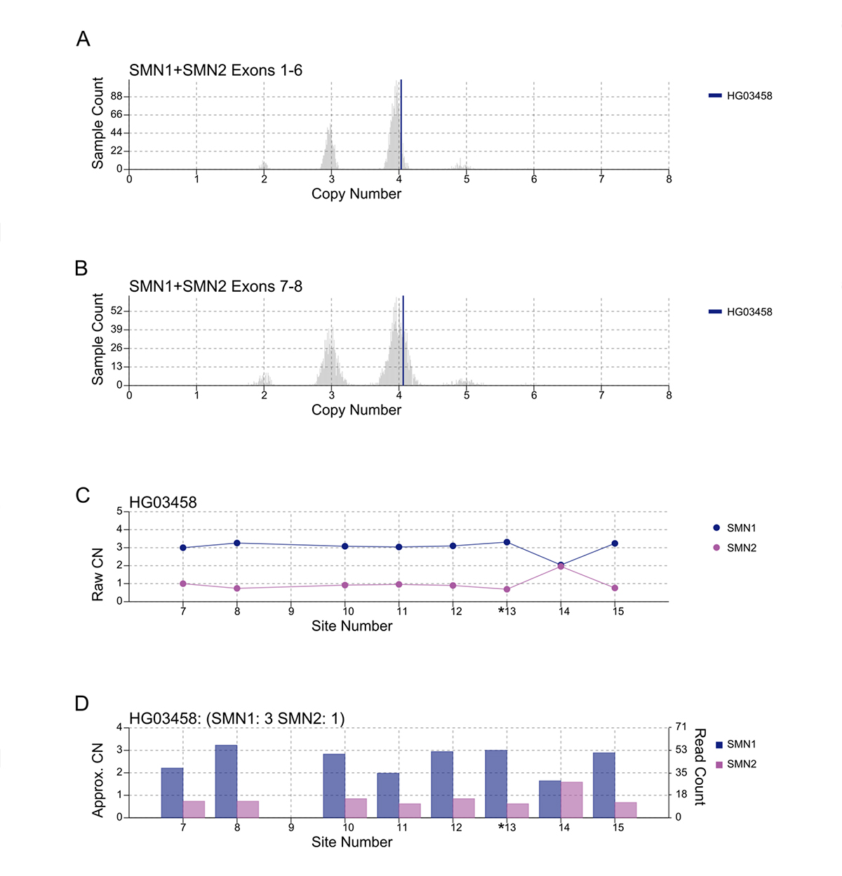 Figure 3. Visualization of SMNCopyNumberCaller result, using HG03458 as an example