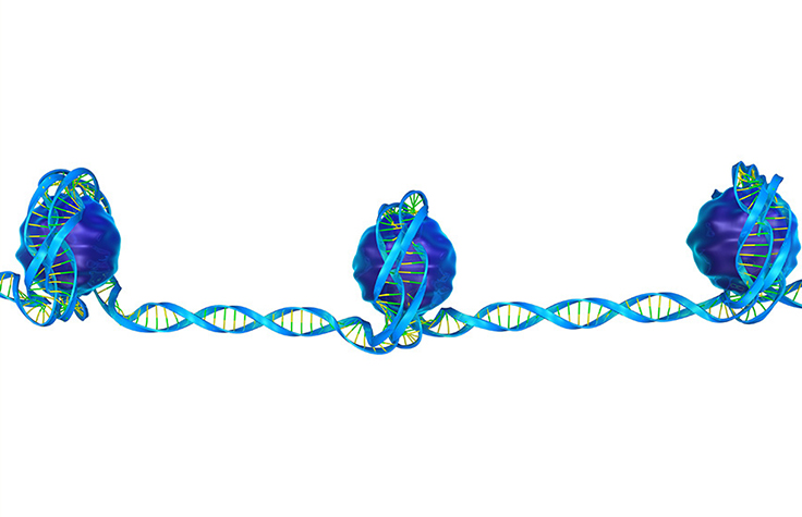 Nucleosome Patterns