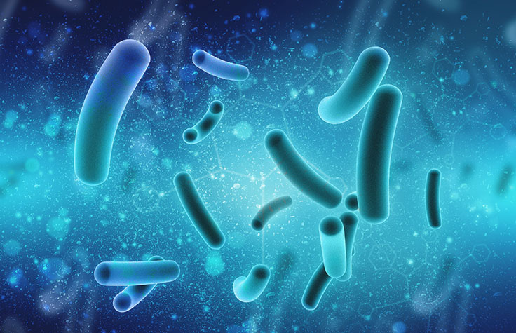 The Time Is Now for Microbiome Studies