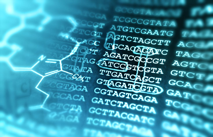 Illumina | Sequencing and array-based solutions for genetic research