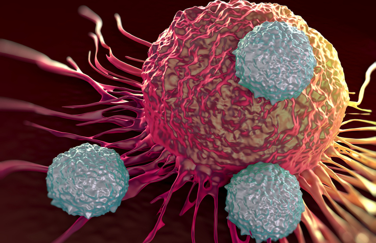 T cells on a tumor
