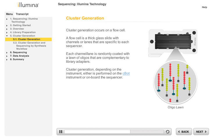 Sequencing Training