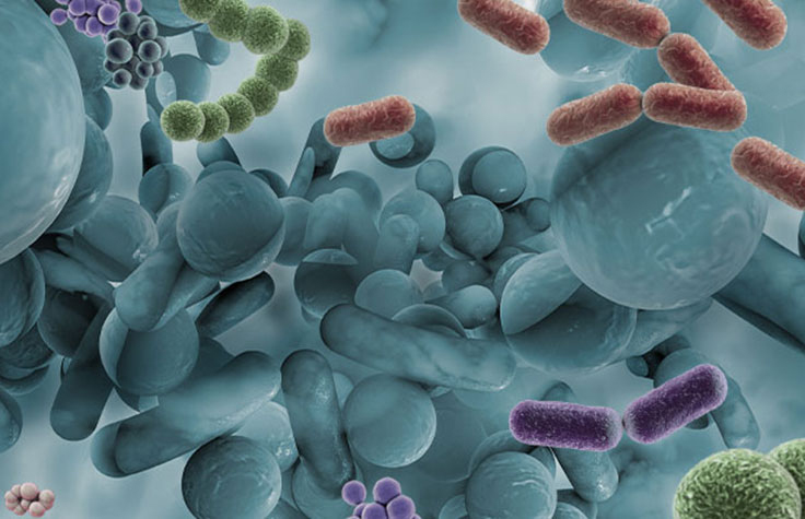 Microbiology Methods Guide