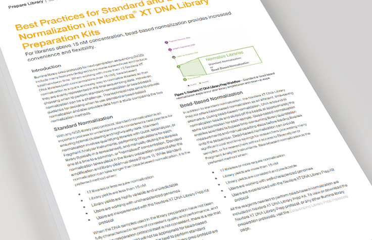 When to Use Standard vs. Bead-Based Normalization