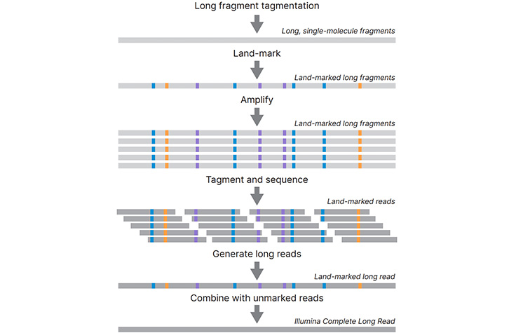 Accurate Long-Read Sequencing Technology