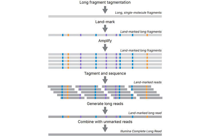 How the Illumina Complete Long Read technology works