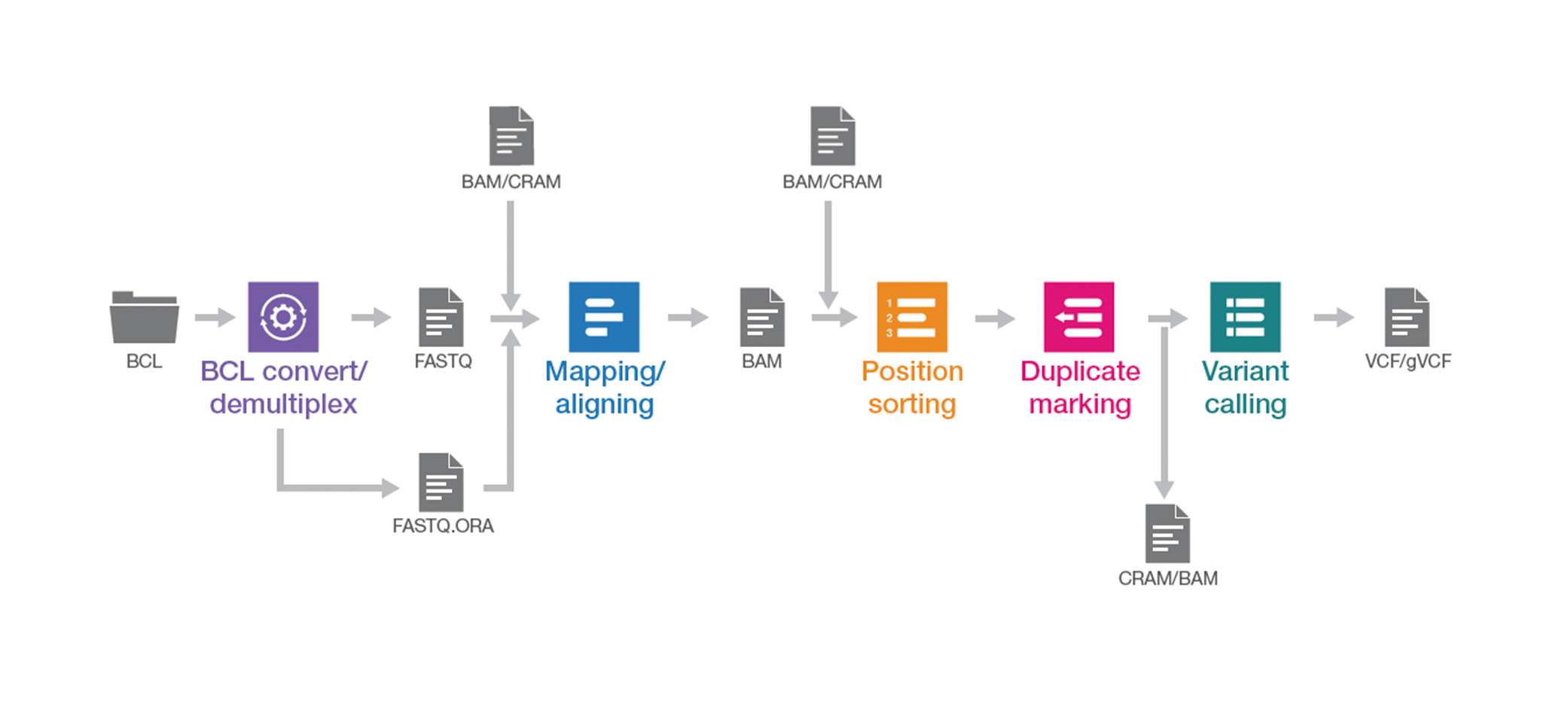 DRAGEN Germline Pipeline Steps