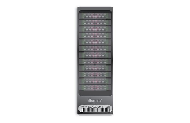 Infinium ImmunoArray-24 v2 BeadChip Kit