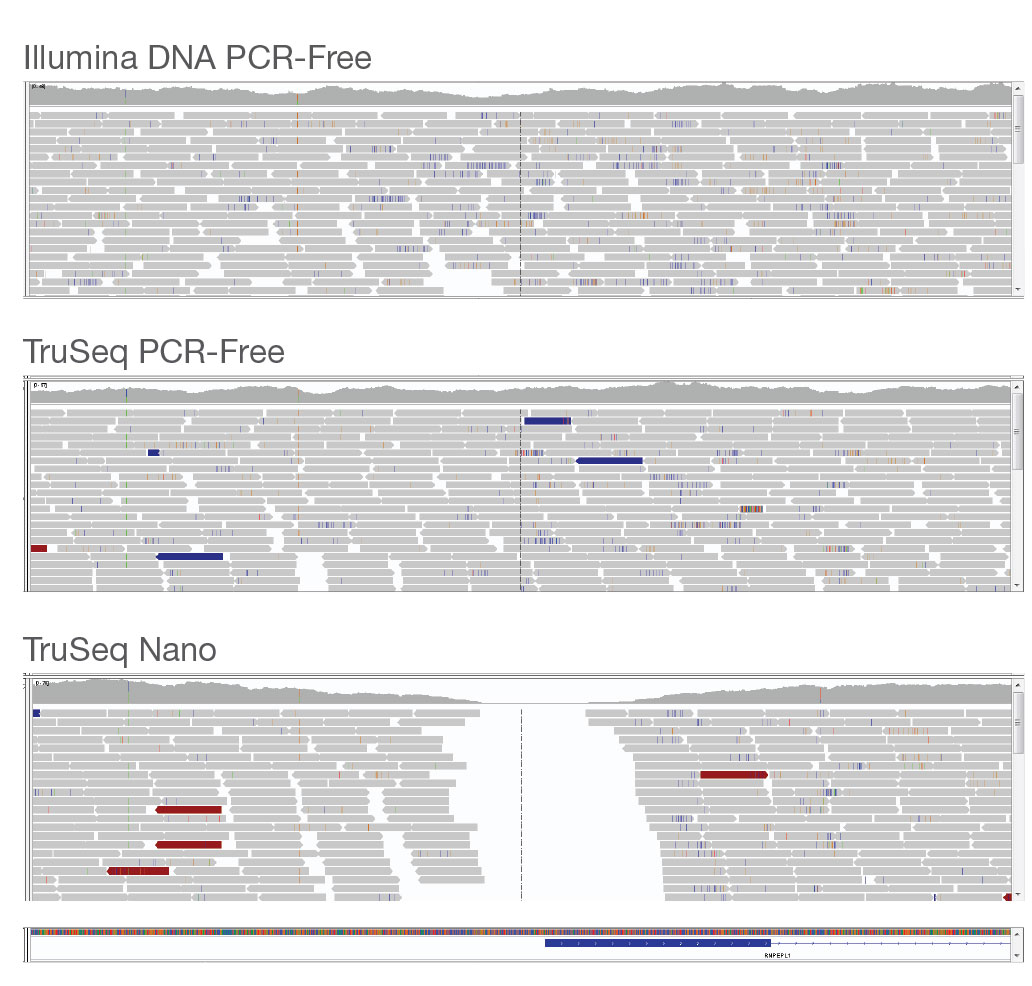 Illumina DNA PCR-Free coverage uniformity