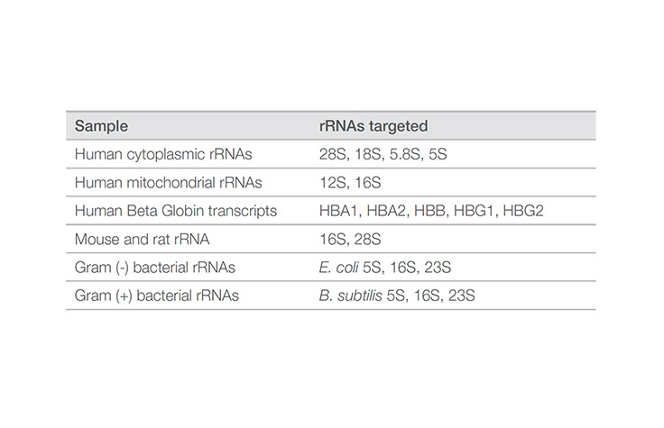 Illumina Stranded Total RNA Prep | A complete view of the transcriptome