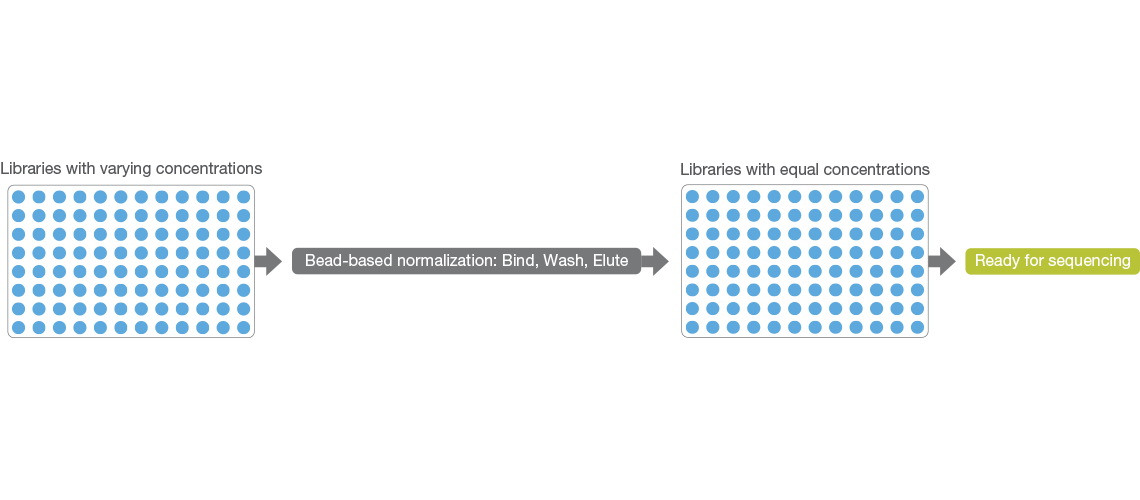 Innovative Sample Normalization